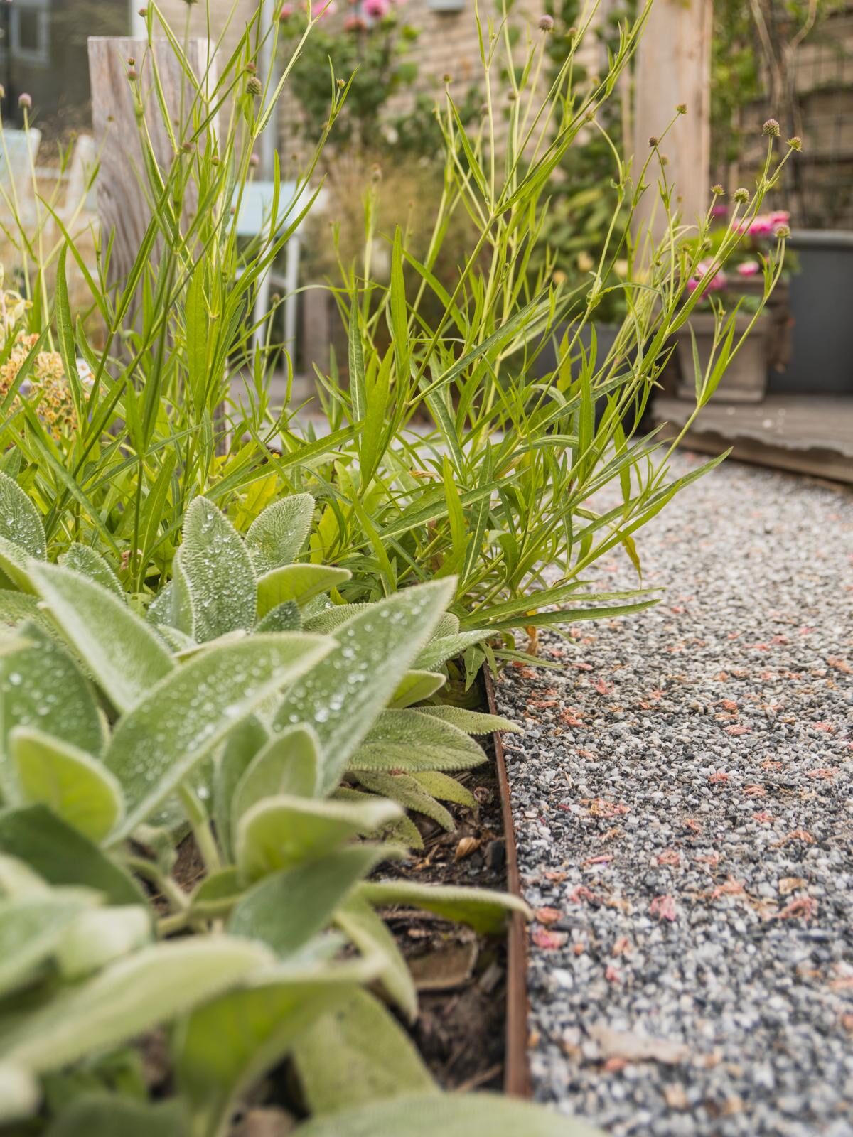Tuinfoto van Pauls Planten op Instagram