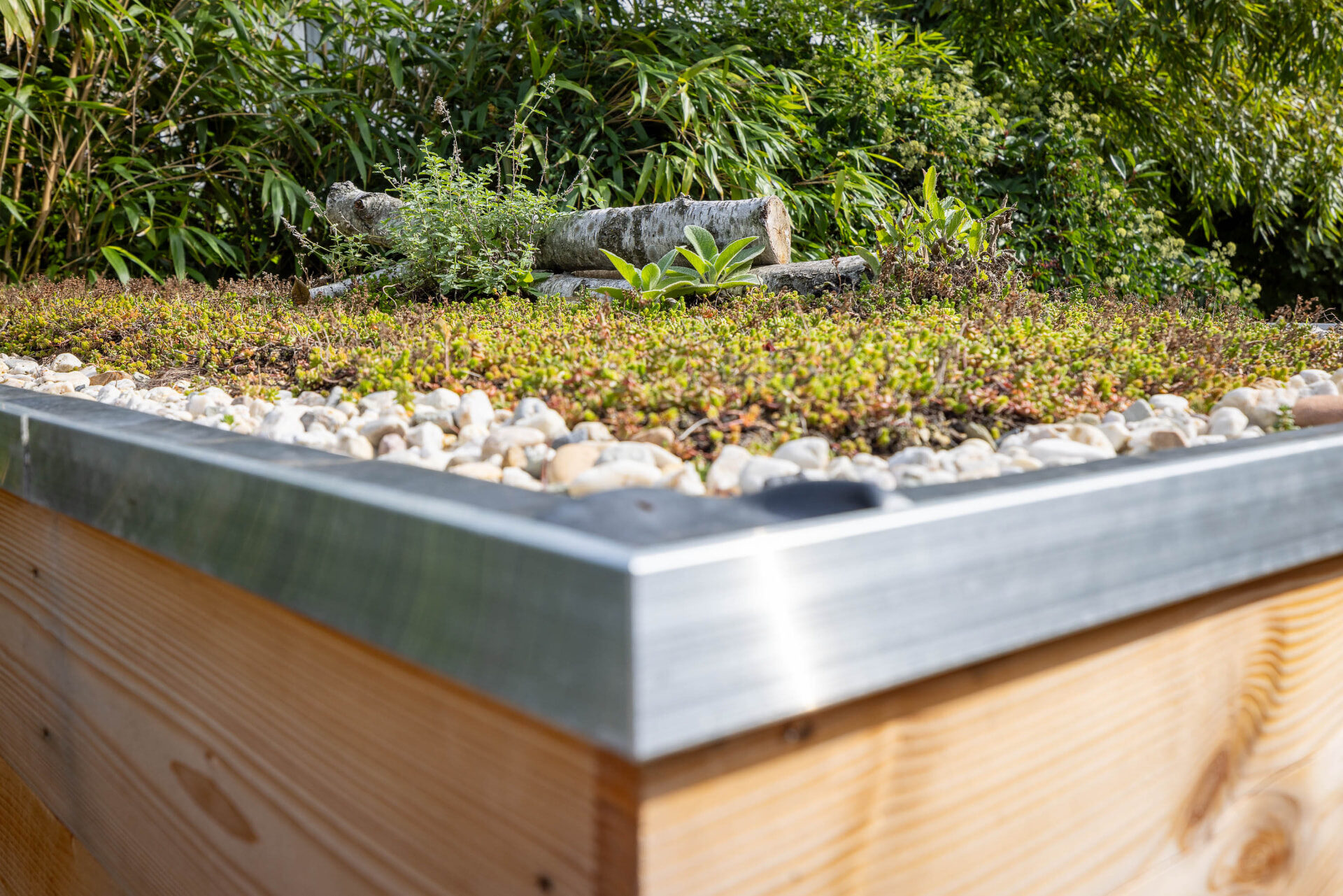 Houten plantbak met sedum en grind in een stadstuin in Den Haag