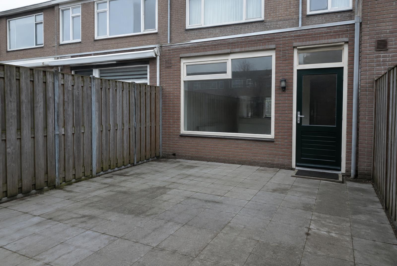 Gegenereerde illustratie van een versteende tuin